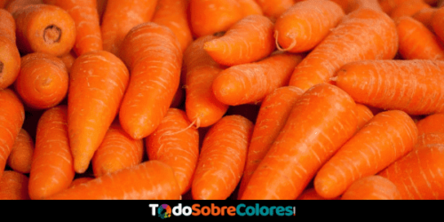 colores de las zanahorias