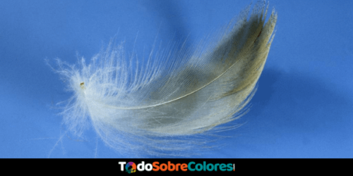 Cantidad de dinero Sano sobrina 56 Significados de colores de las plumas de ángel | TodoSobreColores