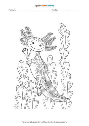 Dibujos para colorear de ajolotes