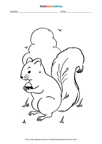 Dibujos de ardillas para colorear