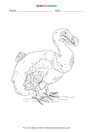 Dibujos de dodos para colorear