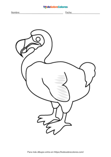 Dibujos de dodos para colorear