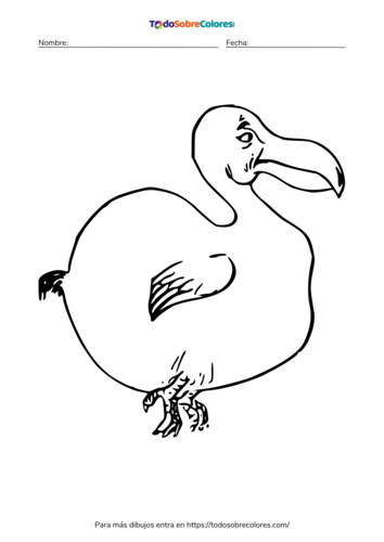 Dibujos de dodos para colorear