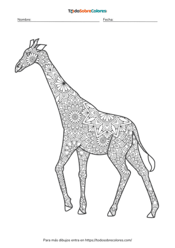 Dibujos de jirafas para colorear
