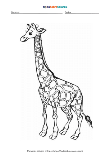 Dibujos de jirafas para colorear