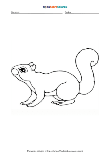 Dibujos de ardillas para colorear