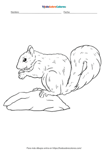 Dibujos de ardillas para colorear
