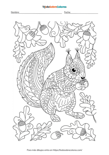 Dibujos de ardillas para colorear