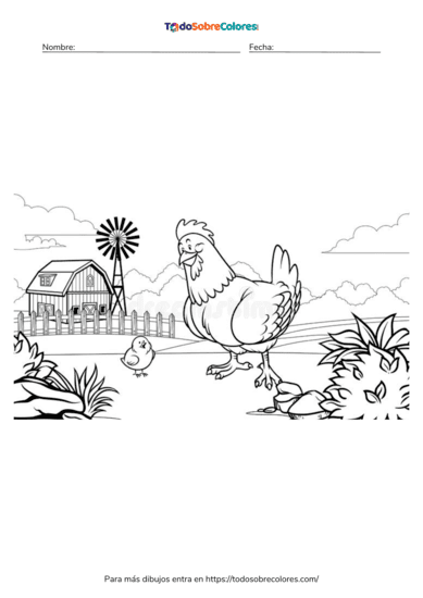 Dibujos de pollos para colorear