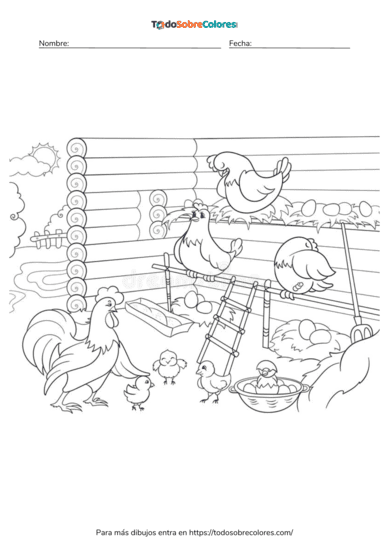 Dibujos de pollos para colorear