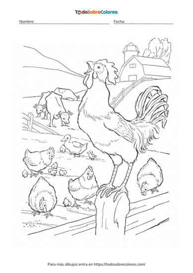 Dibujos de pollos para colorear