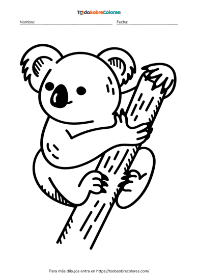 8 Dibujos de koalas para colorear