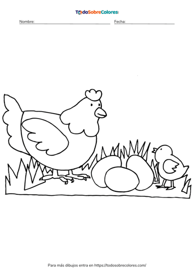 8 Dibujos de pollos para colorear | TodoSobreColores