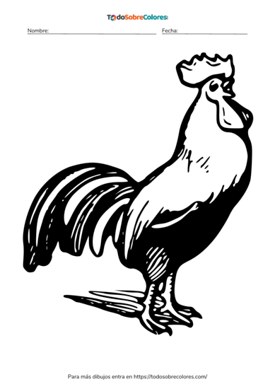 Dibujos de pollos para colorear
