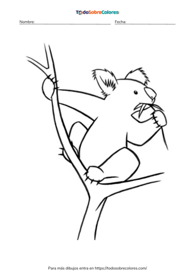 8 Dibujos de koalas para colorear
