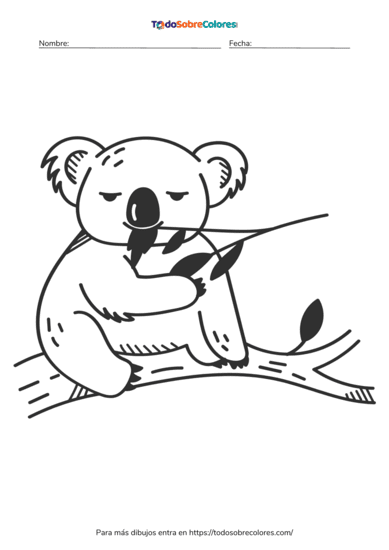8 Dibujos de koalas para colorear