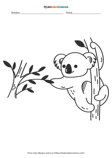 8 Dibujos de koalas para colorear
