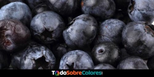frutas y verduras negras